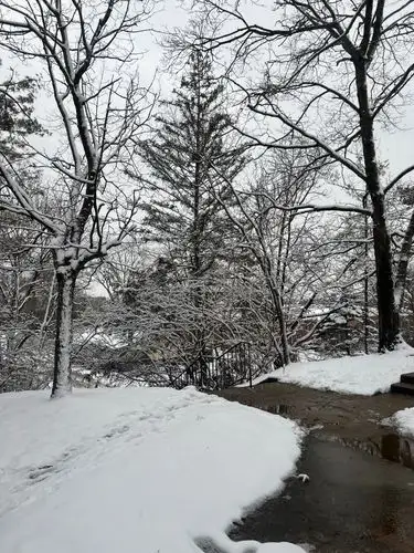 Snowy serenity on a winding trail.